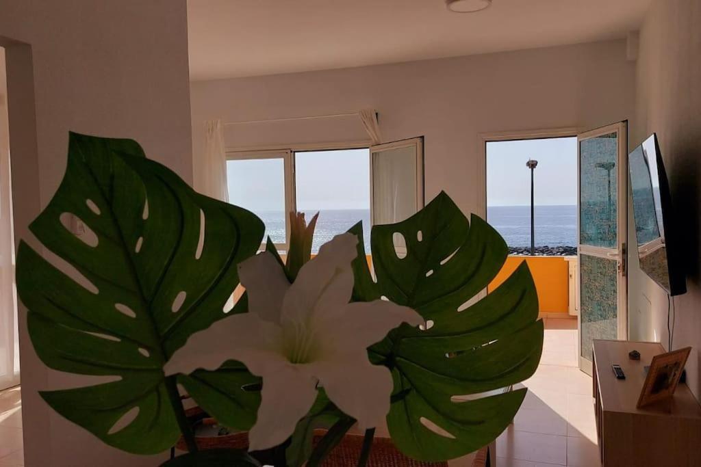 Apartment La Marea Baja Puertito de Guimar